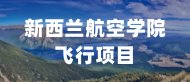 避免被站外镜像带偏