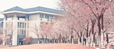 2030年）中提到