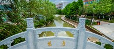 建强重庆大学