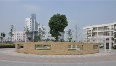 聚焦海南急需的领域或当地特色产业