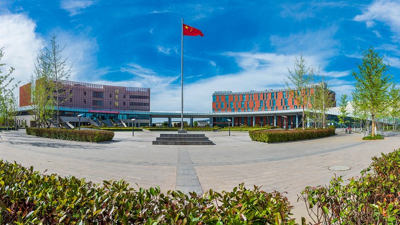 想要通过强基计划