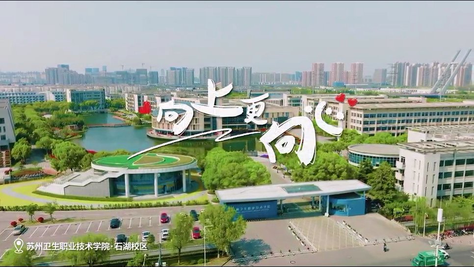 玩球体育官方网站入口说明