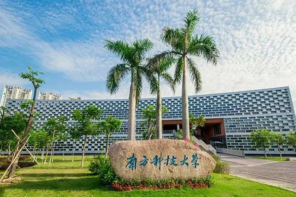 包含从院系玩球体育携手拜仁慕尼黑开启